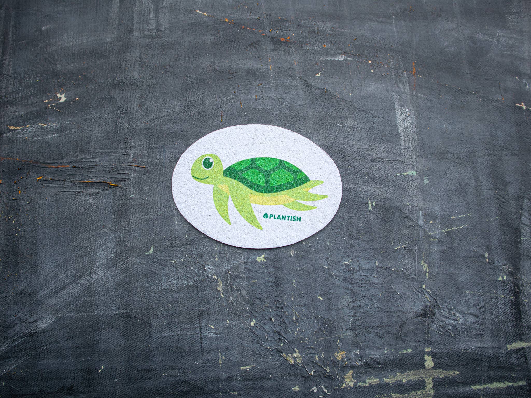 Plantish - Wholesale Cleaning Sponge - Sea Turtle - Pop up Sponge