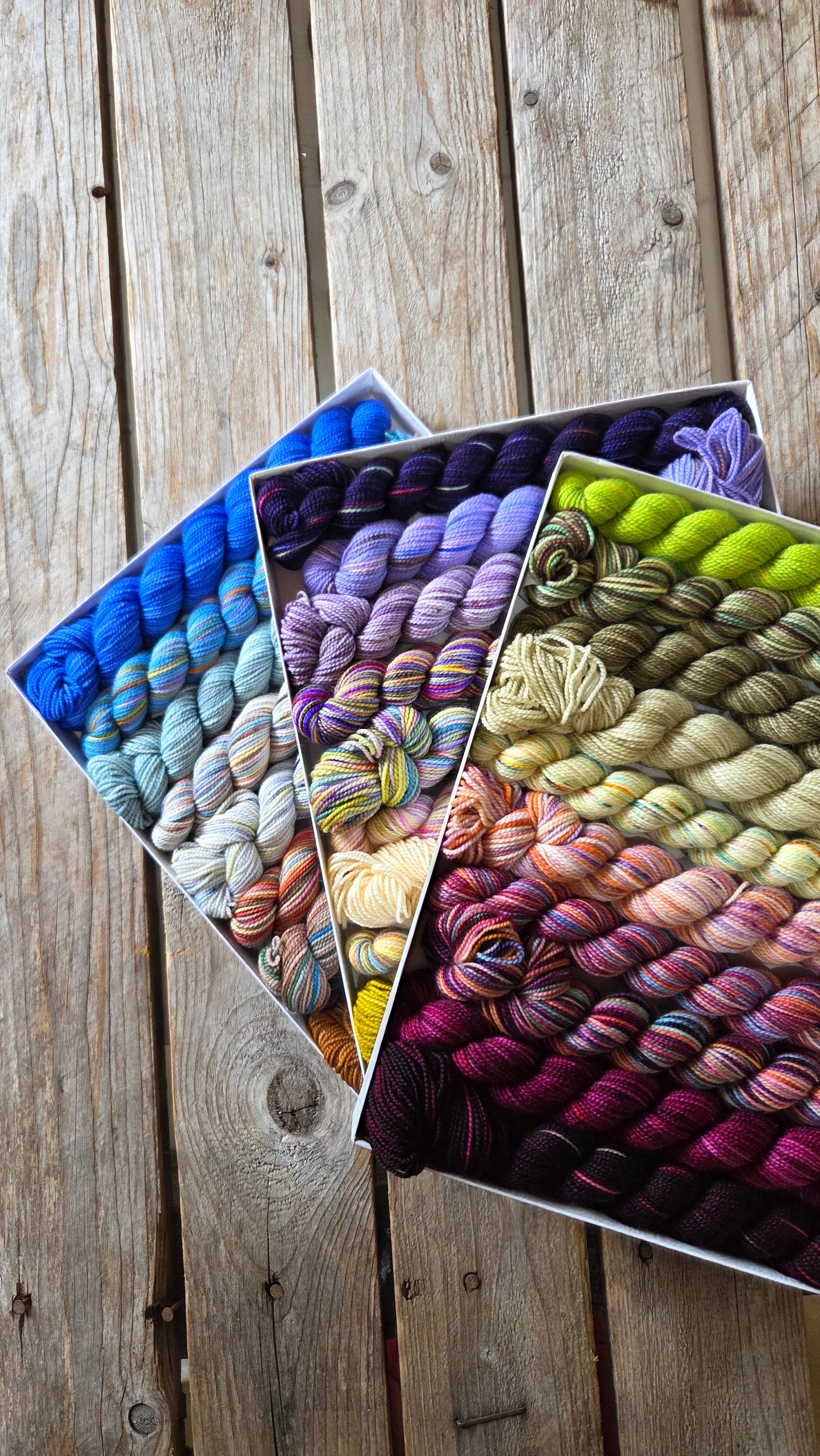 Koigu Wool Designs - Wholesale Yarn - Wibbly-Wobbly Scarf Mini Skein Sets (LYS DAY 2026)12
