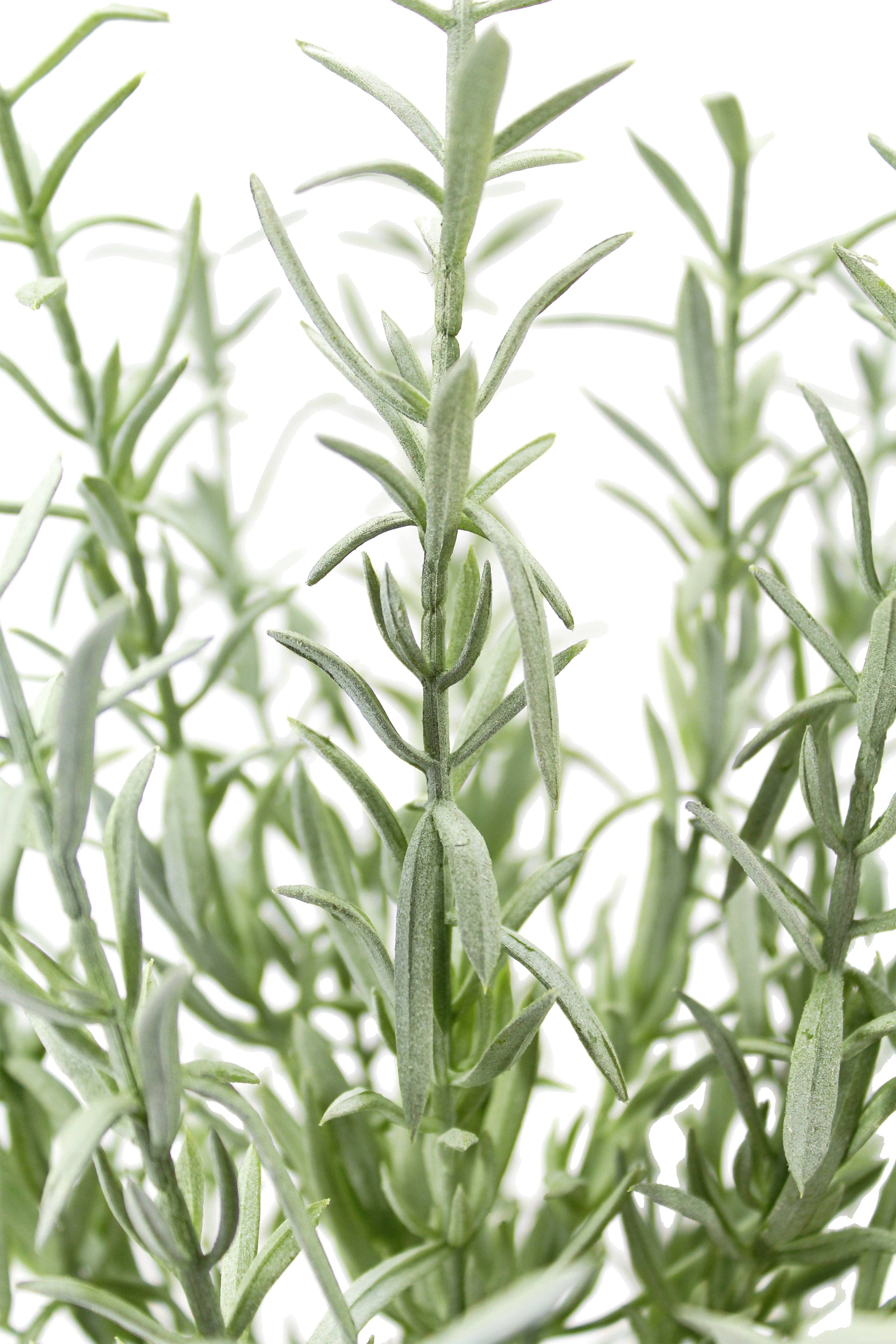 CG Hunter - Wholesale Artificial Plant - 12" Rosemary & 16" Olive Topiary Set5