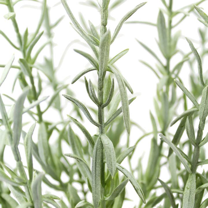 CG Hunter - Wholesale Artificial Plant - 12" Rosemary & 16" Olive Topiary Set5