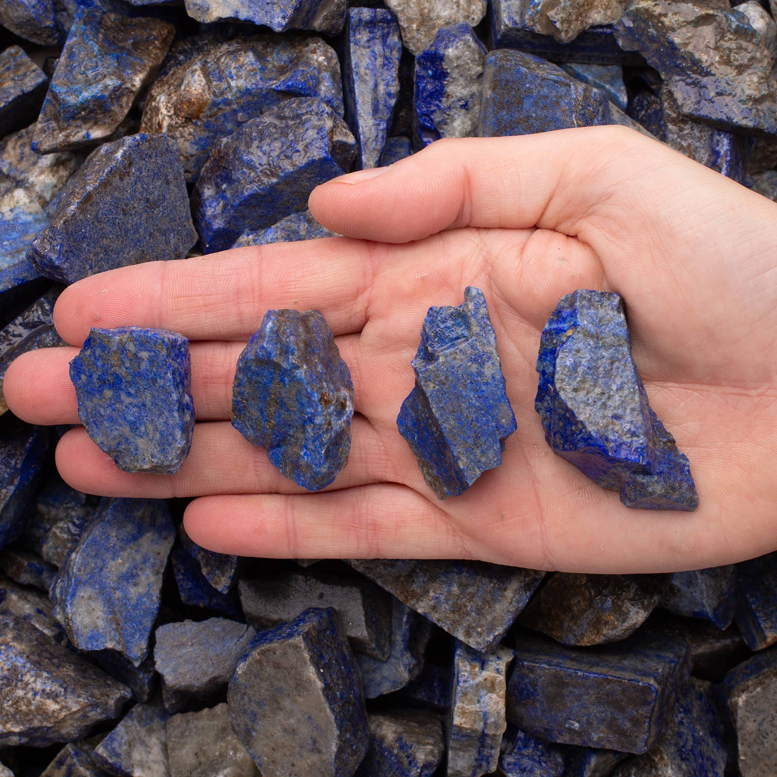 Fantasia Mining - Wholesale Spiritual Stone/Crystal - Rough Lapis Lazuli - India - Raw Natural Stones (1 lb)1