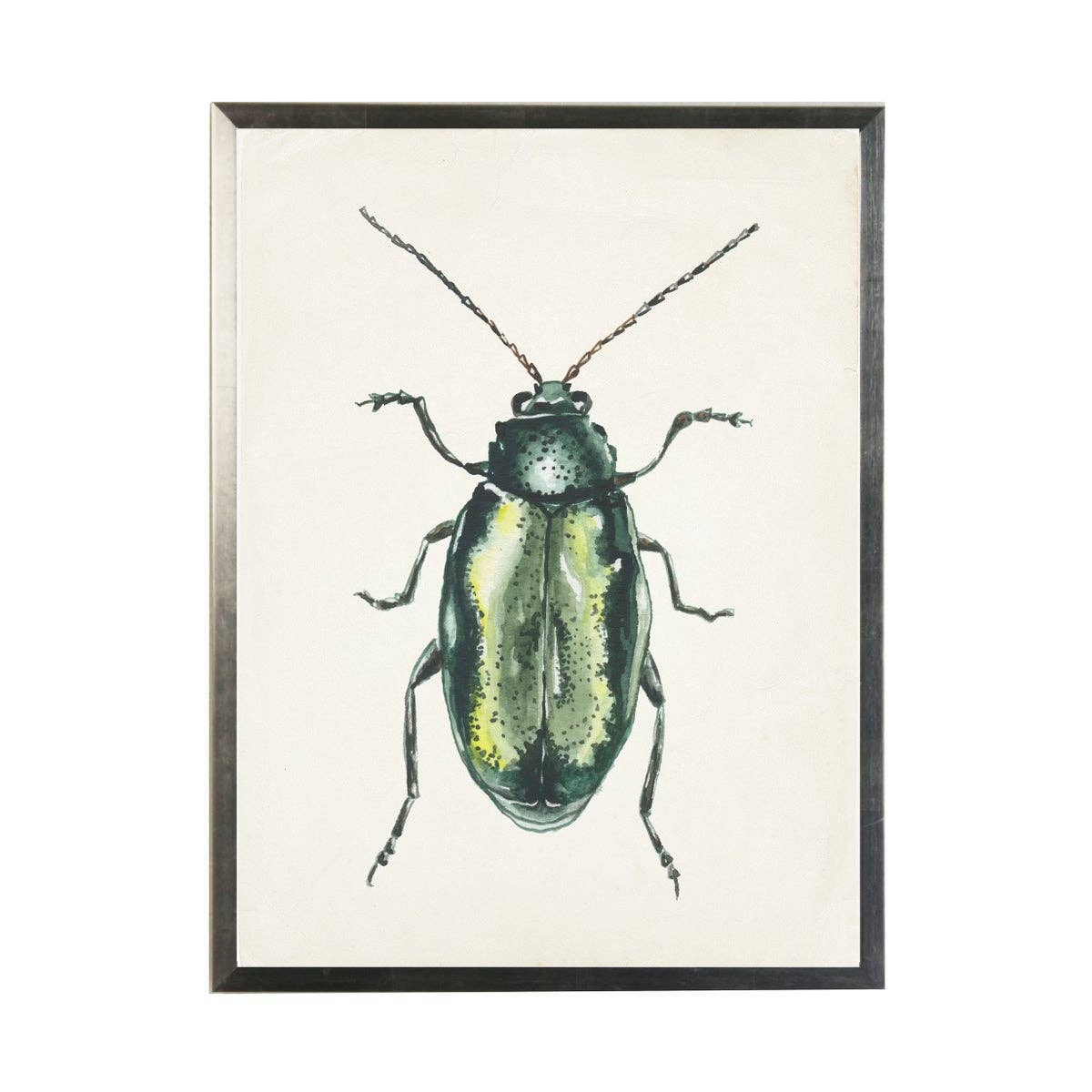 Antique Curiosities Inc – wholesale Art print – Watercolor Light Green Bug0