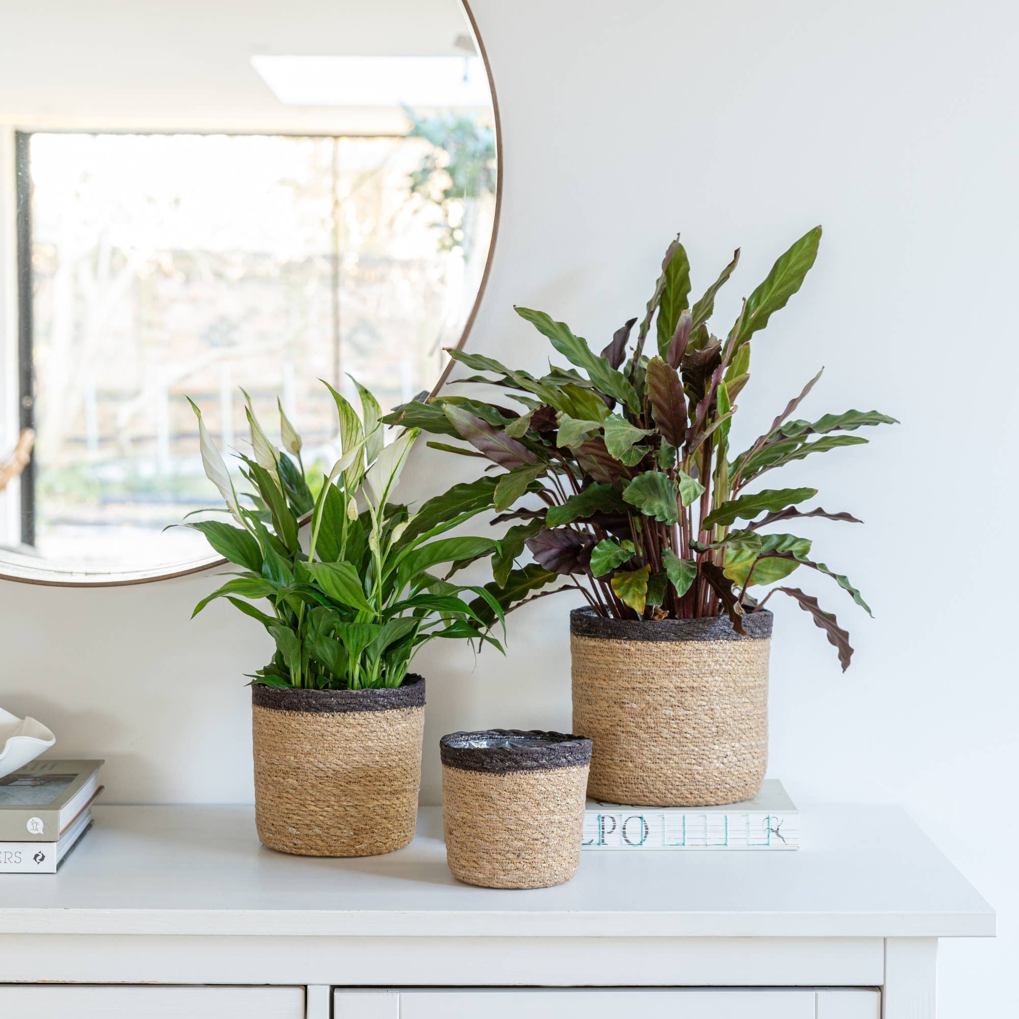 Ivyline - Wholesale Plant Pot - Theo Seagrass Lined Indoor Basket Planter Set of 31