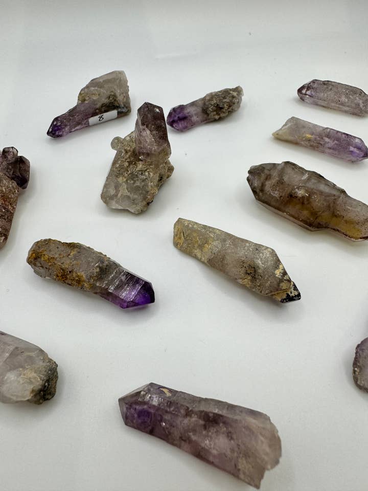 Skeletseptere for engroshandel hos Oils and Auras