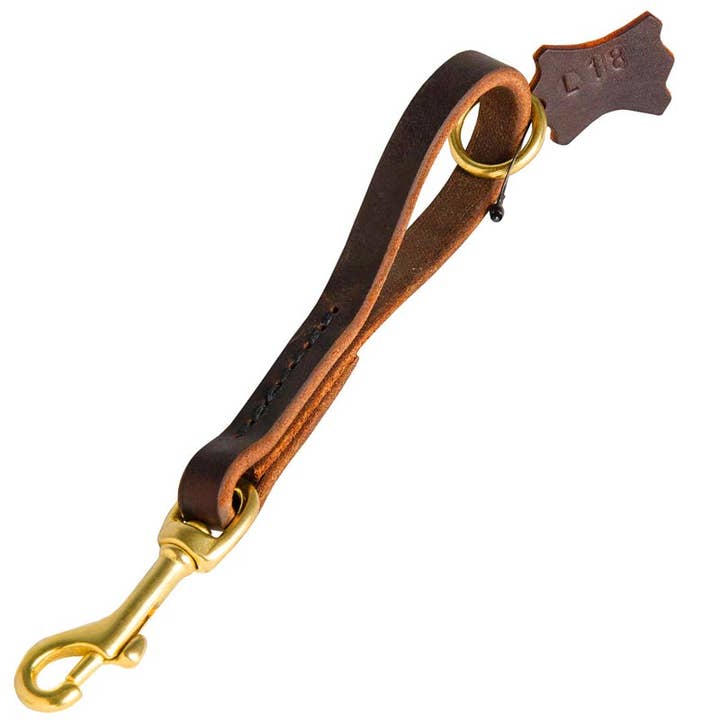 Easy Quick Grab Pull Tab Fully Leather Dog Leash for wholesale by FDT Global LLC