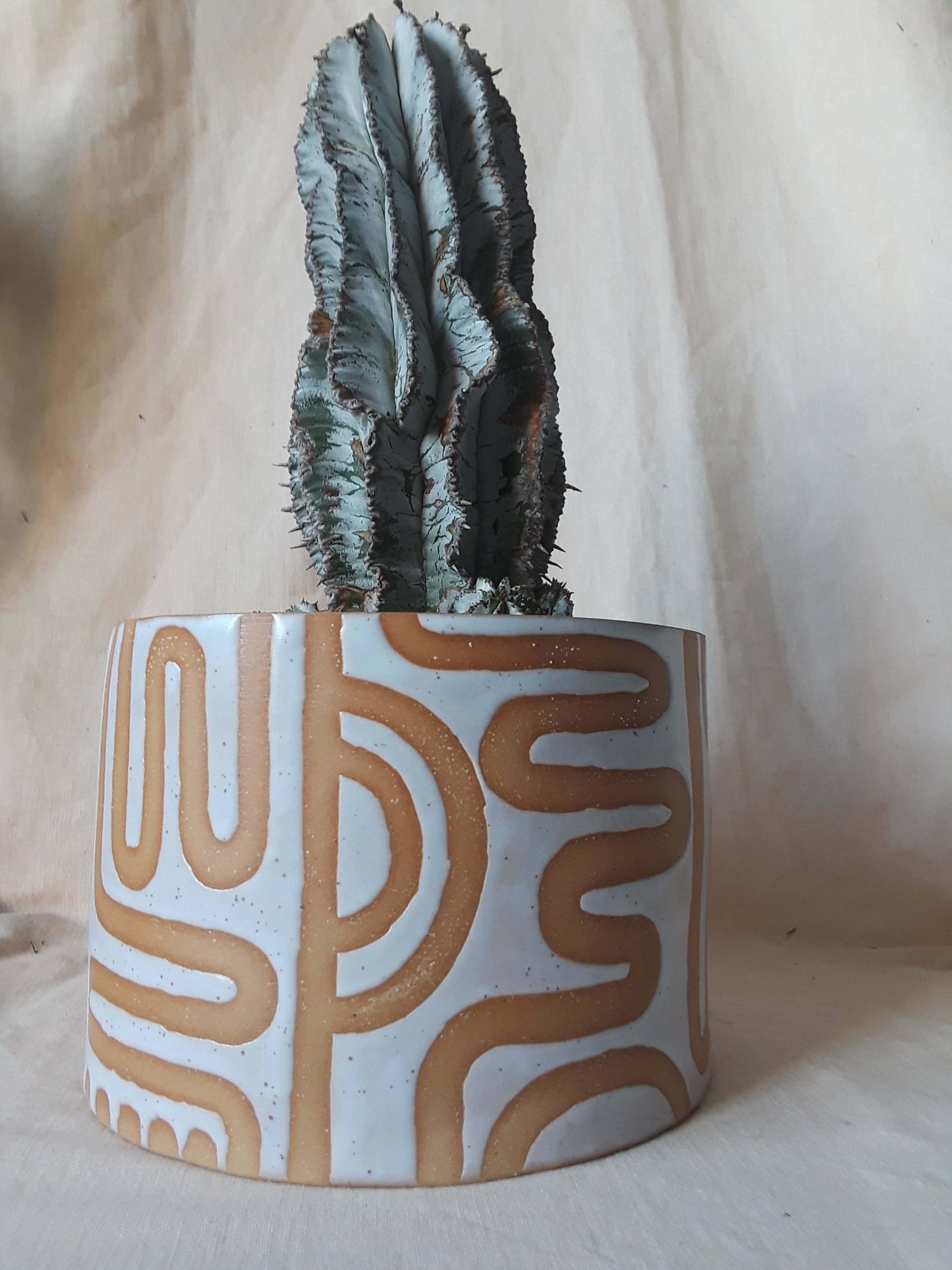 CURIOUS CLAY – Engroshandel Plantekrukke – Vrikke mønster Planter3