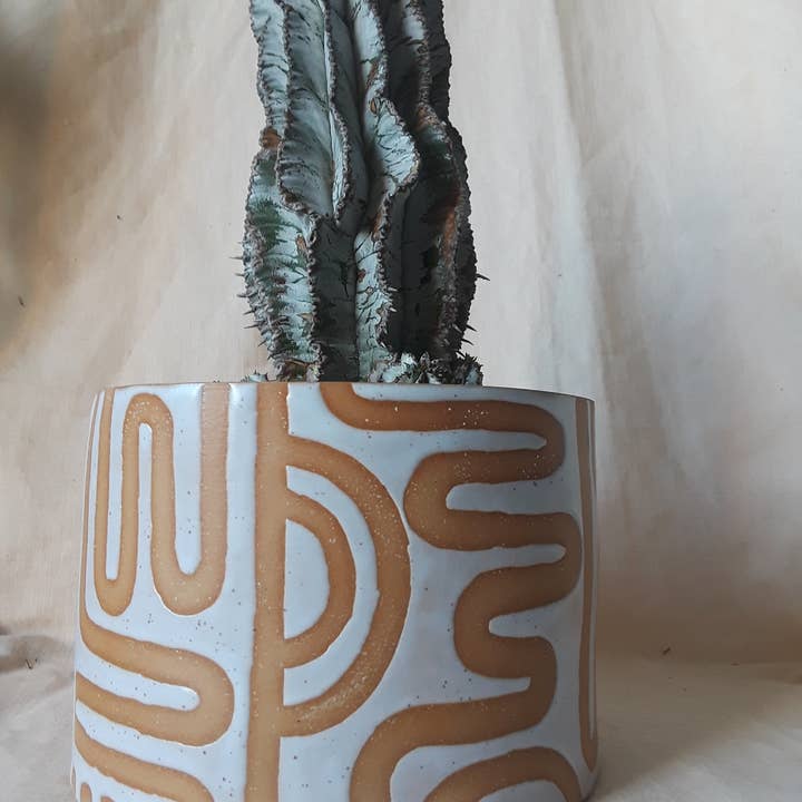 CURIOUS CLAY – Engroshandel Plantekrukke – Vrikke mønster Planter3