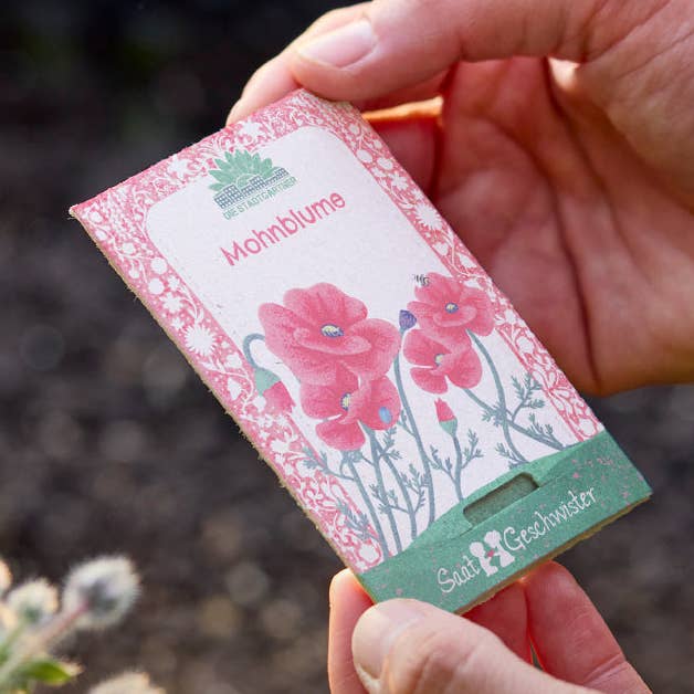 Poppy for wholesale by TDJ Stadtgärtner GmbH