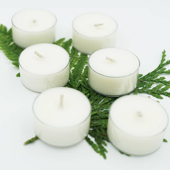 Fraser Fir Soy Wax Tealights for wholesale by Rainwater Soap and Candle Co