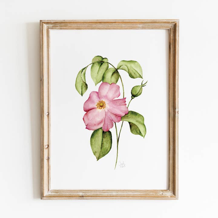 Impression à l'aquarelle d'une rose sauvage pour la vente par Sarah Jane Studio Art
