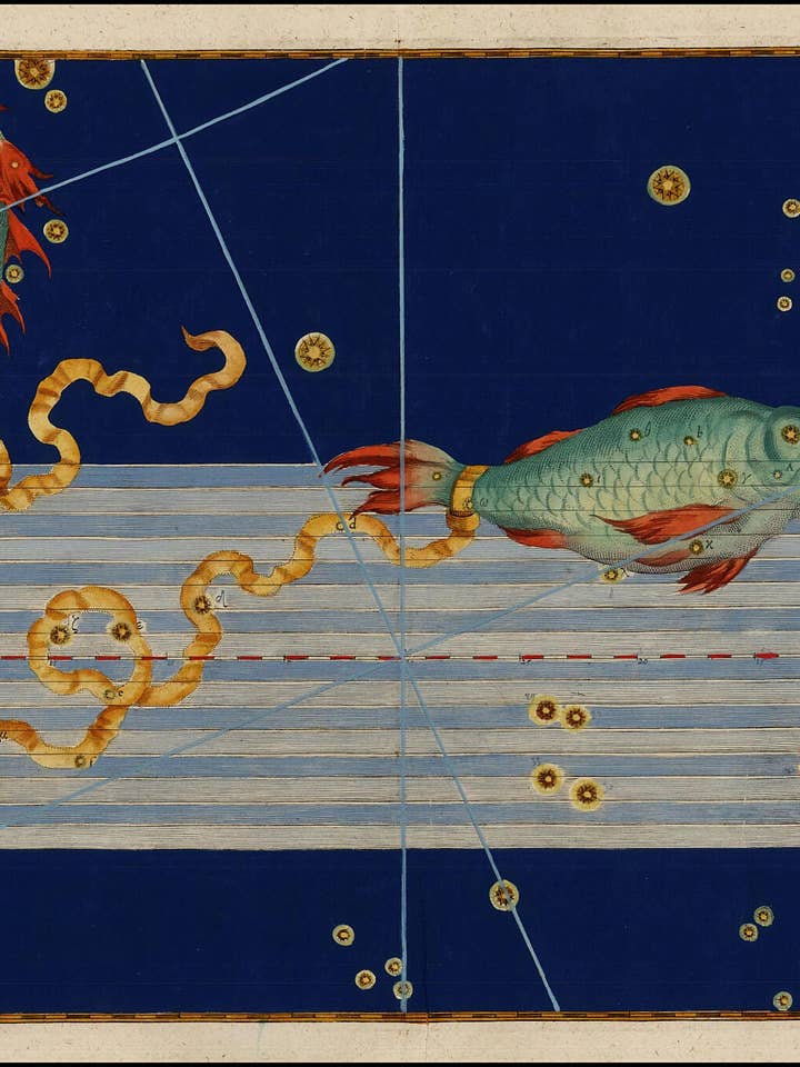 Johann Bayer 'Peixes' Augsburg, Alemanha 1603 por atacado de Flashback Shop