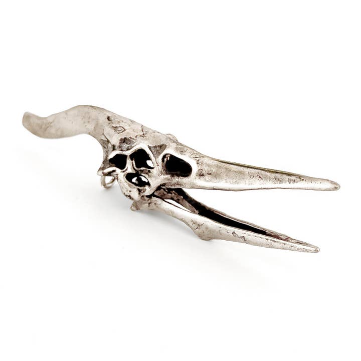 Pteranodon for wholesale by Fire & Bone