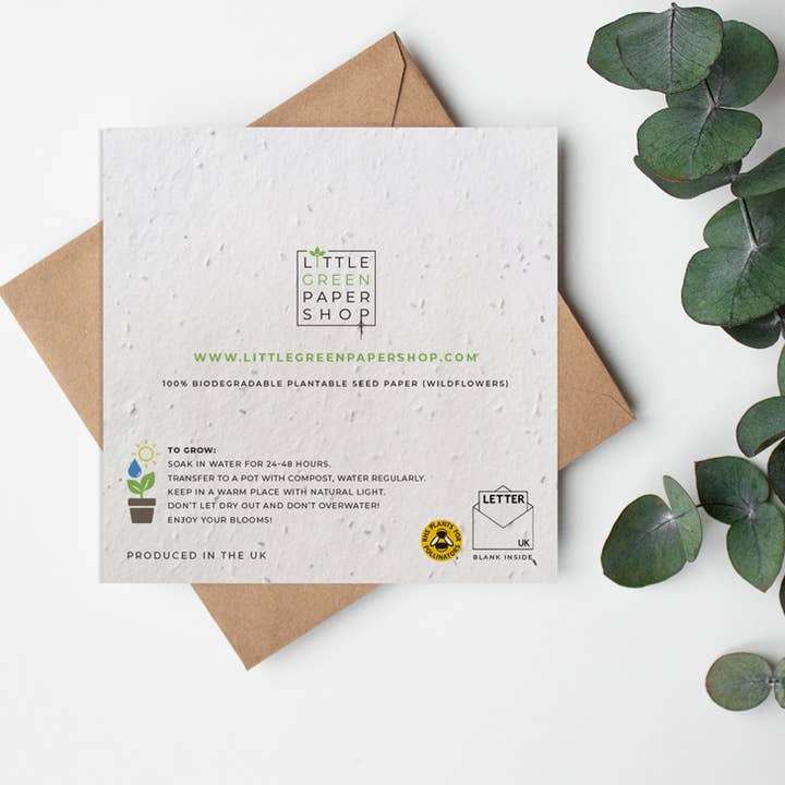 Little Green Paper Shop – Großhandel Dankeskarten – SQ Seed Paper Grußkarte, Pastellfarben, Thanks a Bunch