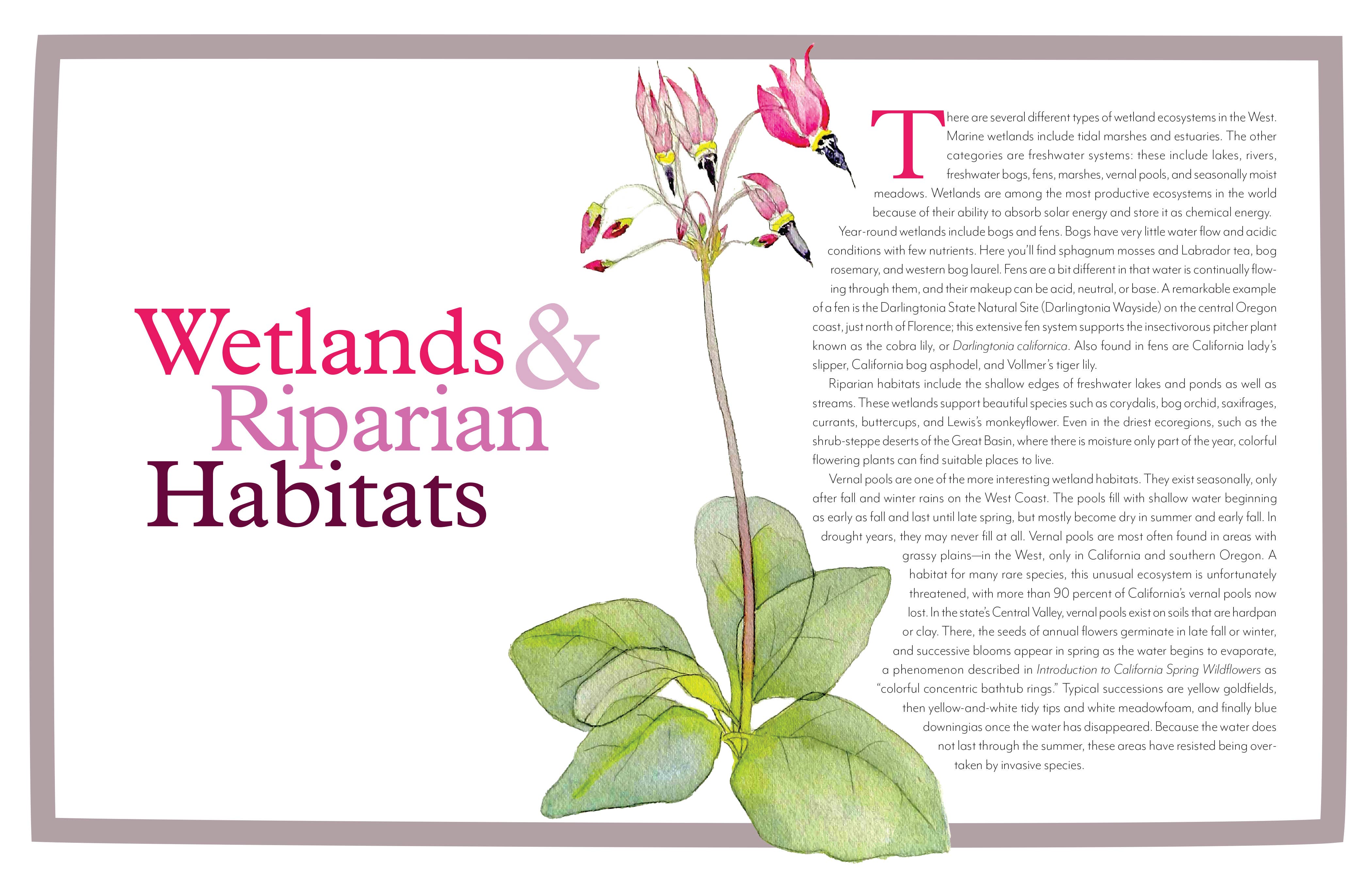 Mountaineers Books - Wholesale Nature & Outdoors - Wildflowers of the West6