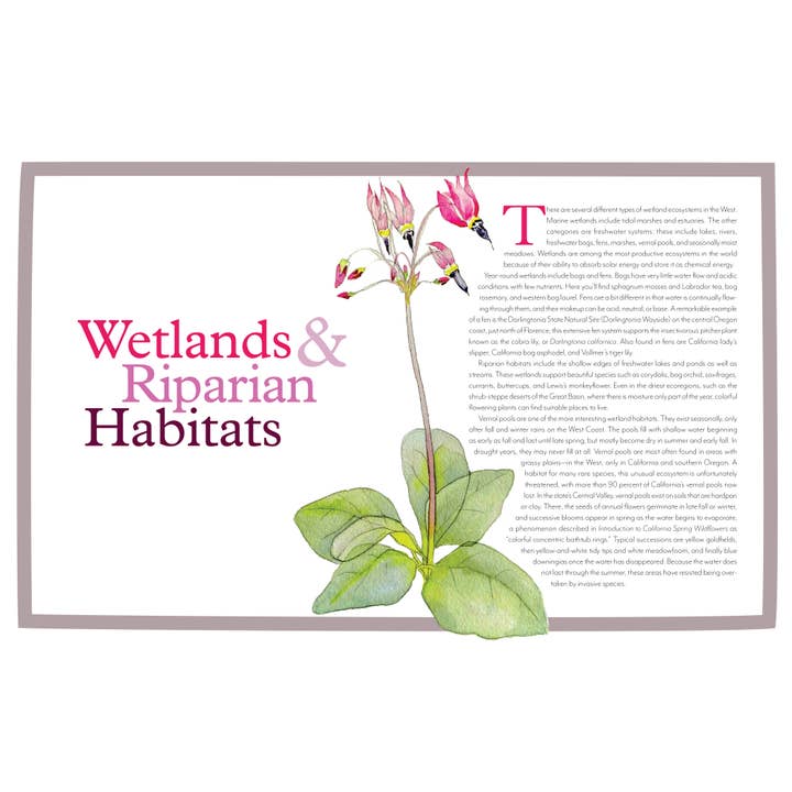 Mountaineers Books - Wholesale Nature & Outdoors - Wildflowers of the West6