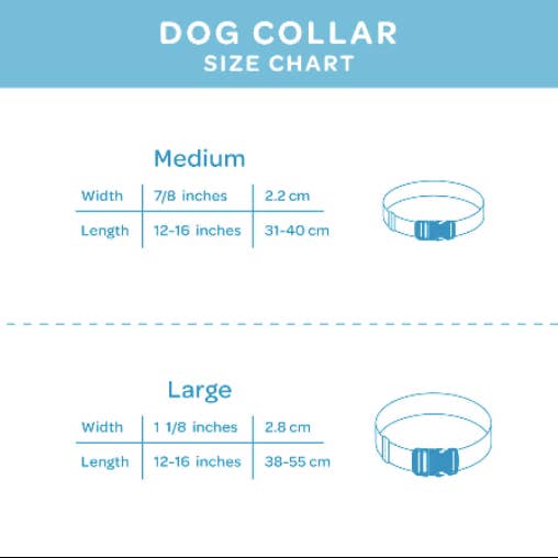 The Magnolia Pet Co. - Wholesale Pet Collar - Dog - Spooky Halloween Spider Web Dog Collar (Glows in the Dark)1