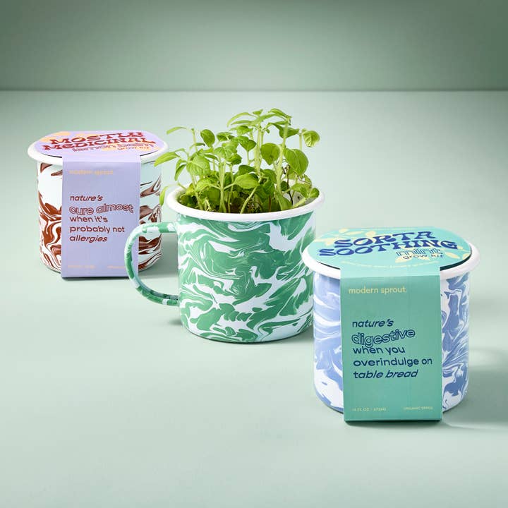 Modern Sprout - Wholesale DIY Craft Kit - Altered Herbs Mug Grow Kits
