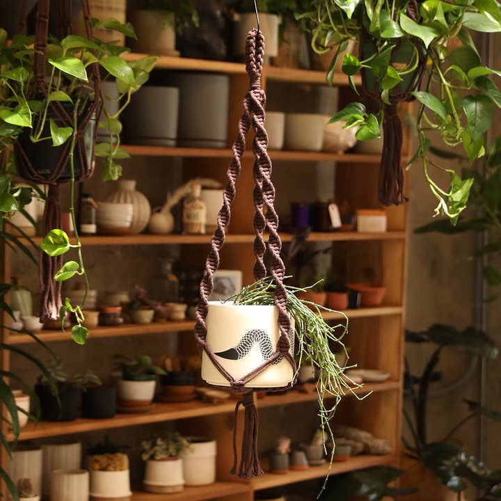 Soul of the Party - Vendita all'ingrosso Fioriere a sospensione - Appendiabiti a doppia elica