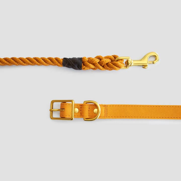 Animals in Charge - Wholesale Pet leash – Dog - Rope Dog Leash - Harvest Yellow2