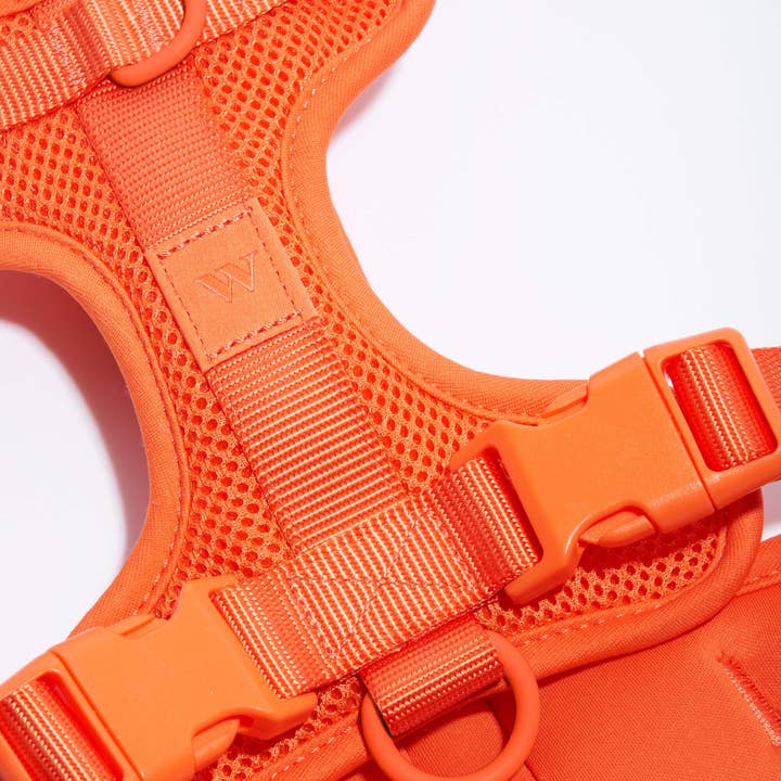 Wild One - Wholesale Pet Harness - Dog - Harness61