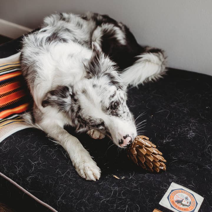 Loblola - Wholesale Pet Toy - Dog - Loblolly Pinecone Puzzle Dog Toy5