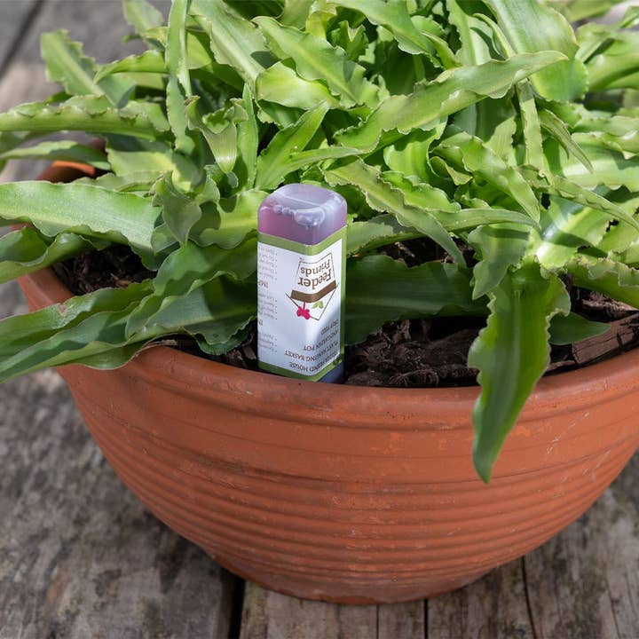 Jardinopia UK – wholesale Bird feeder – Hedgehog Plant Drip Feeder Cover & Feed8