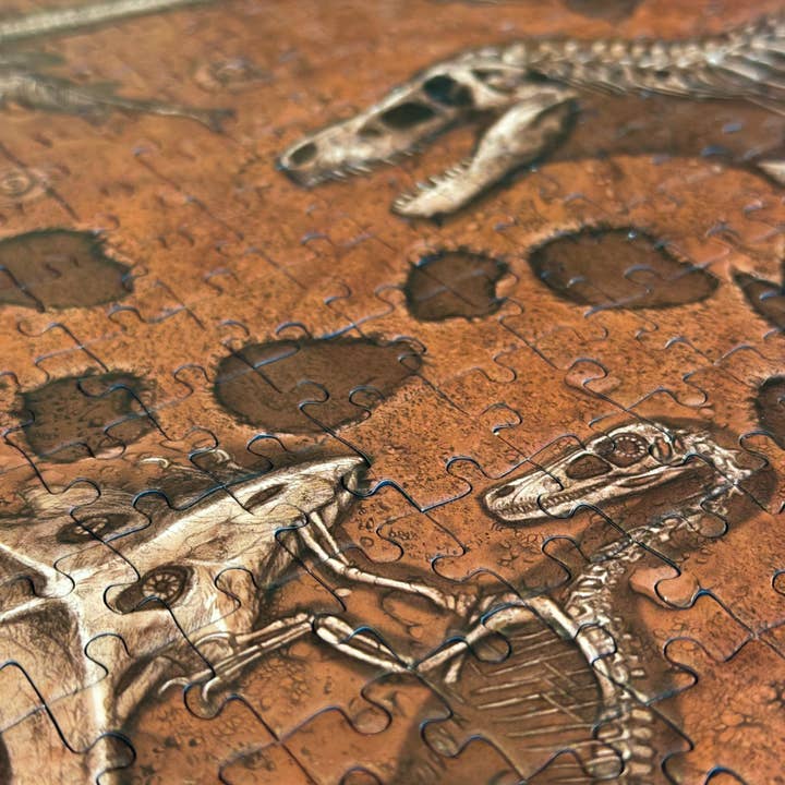 Montrose Biology – Engroshandel Puslespil - Voksen – "Berømte Fossiler" Palæontologi Puslespil (1k)8