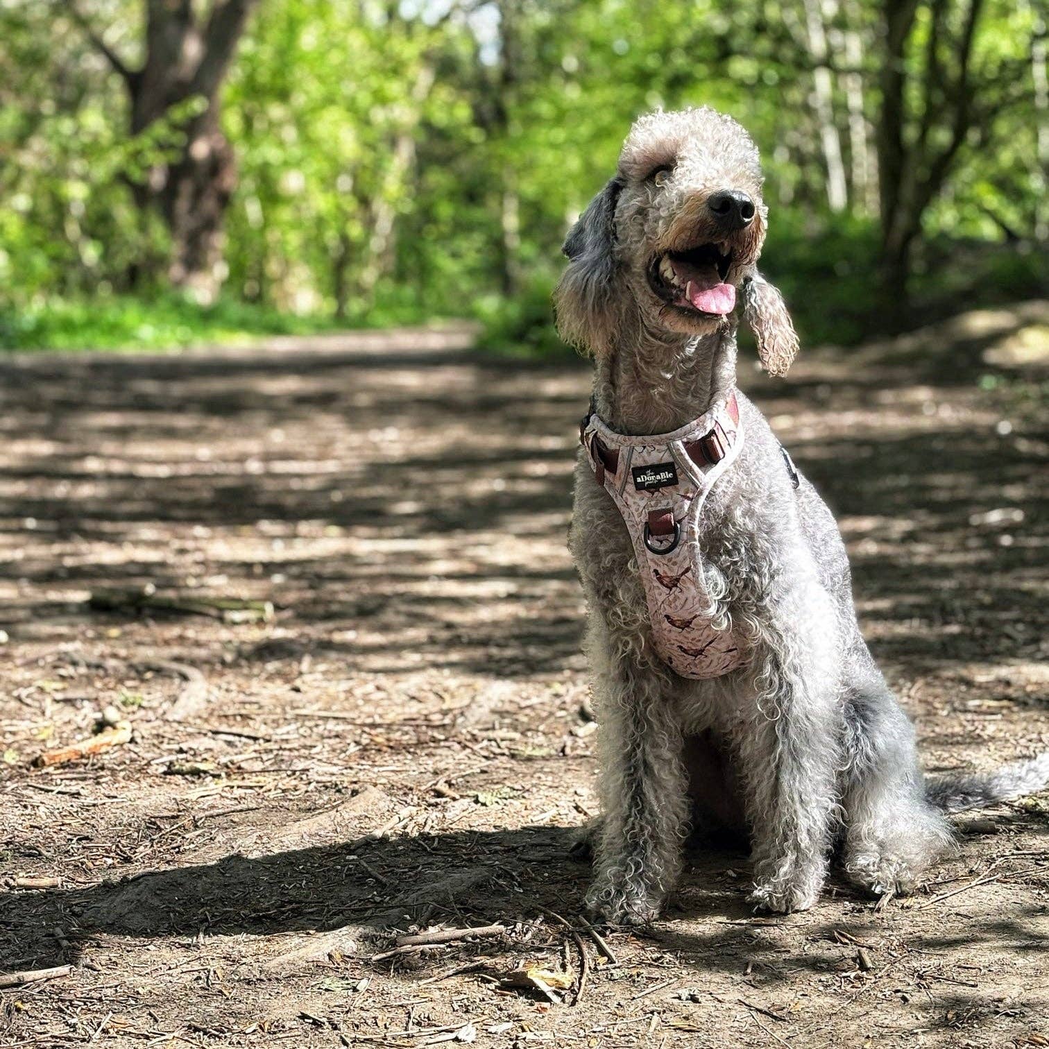 The aDoraBle Pooch Company - Wholesale Tuig voor huisdieren - Hond - Hike & Go™ Harnas - Farmland Fazant29