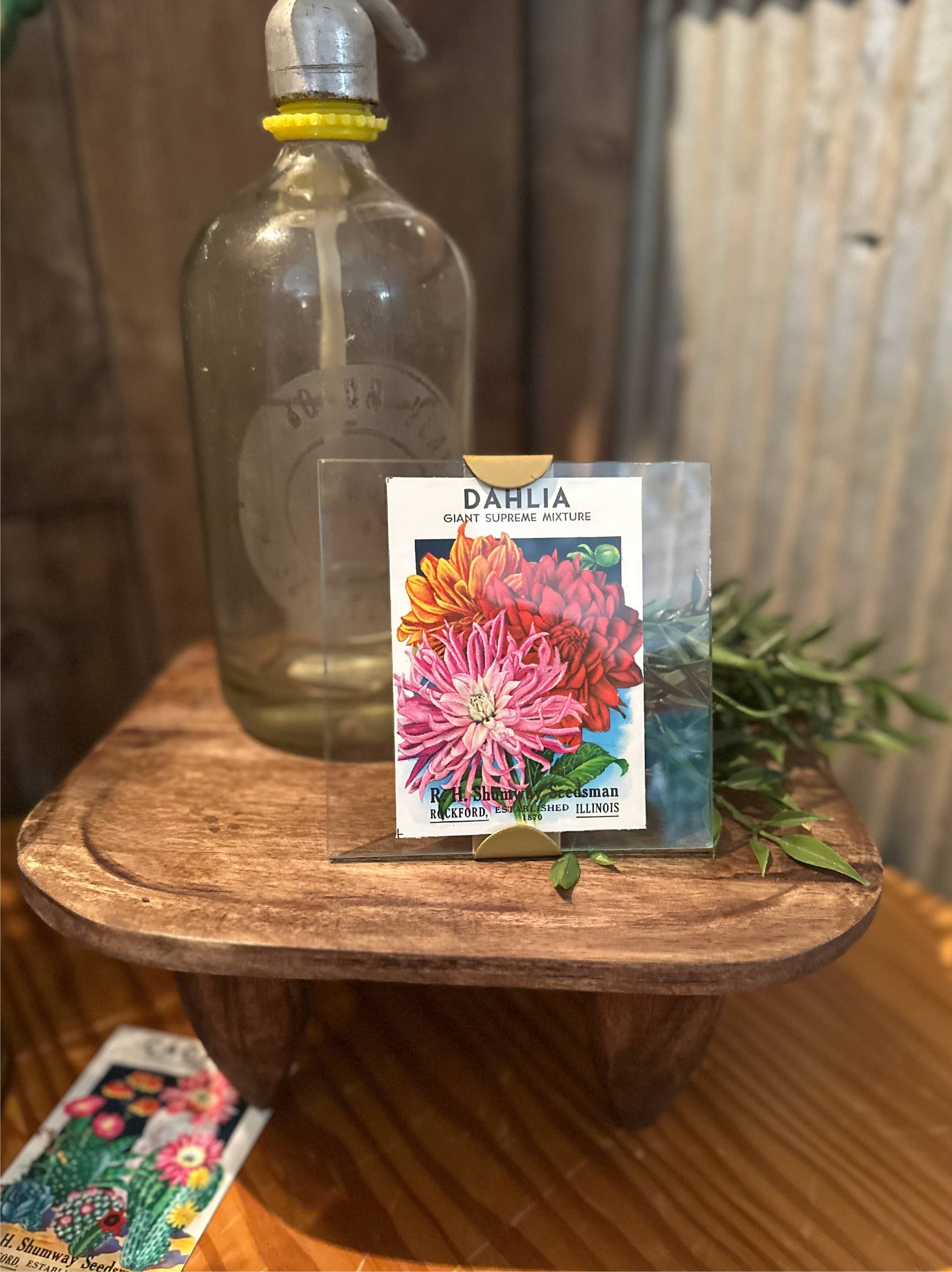 Made Market Co. – Großhandel Bilderrahmen – Rahmen 5X5 Scallop3