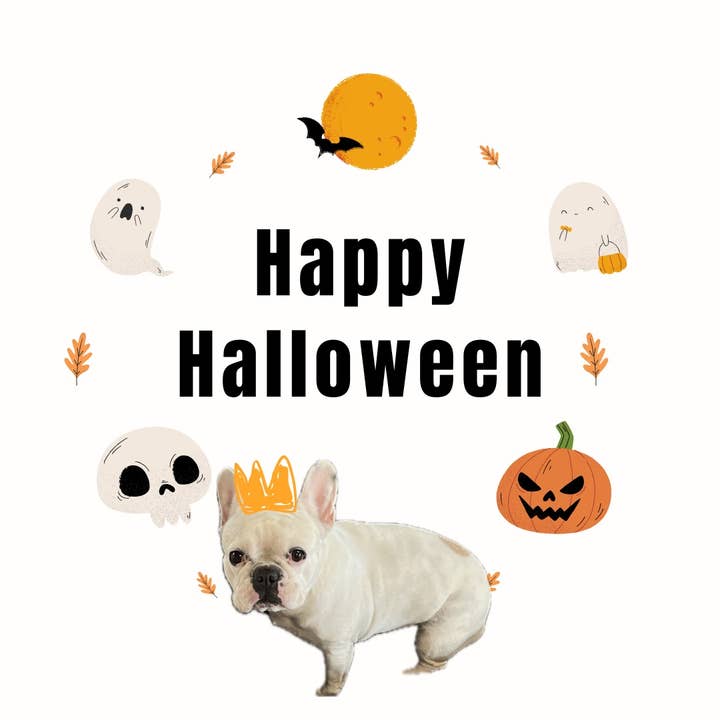 poptoptreats - Wholesale Pet Treats - Dog - Private Lable-Pop Tops