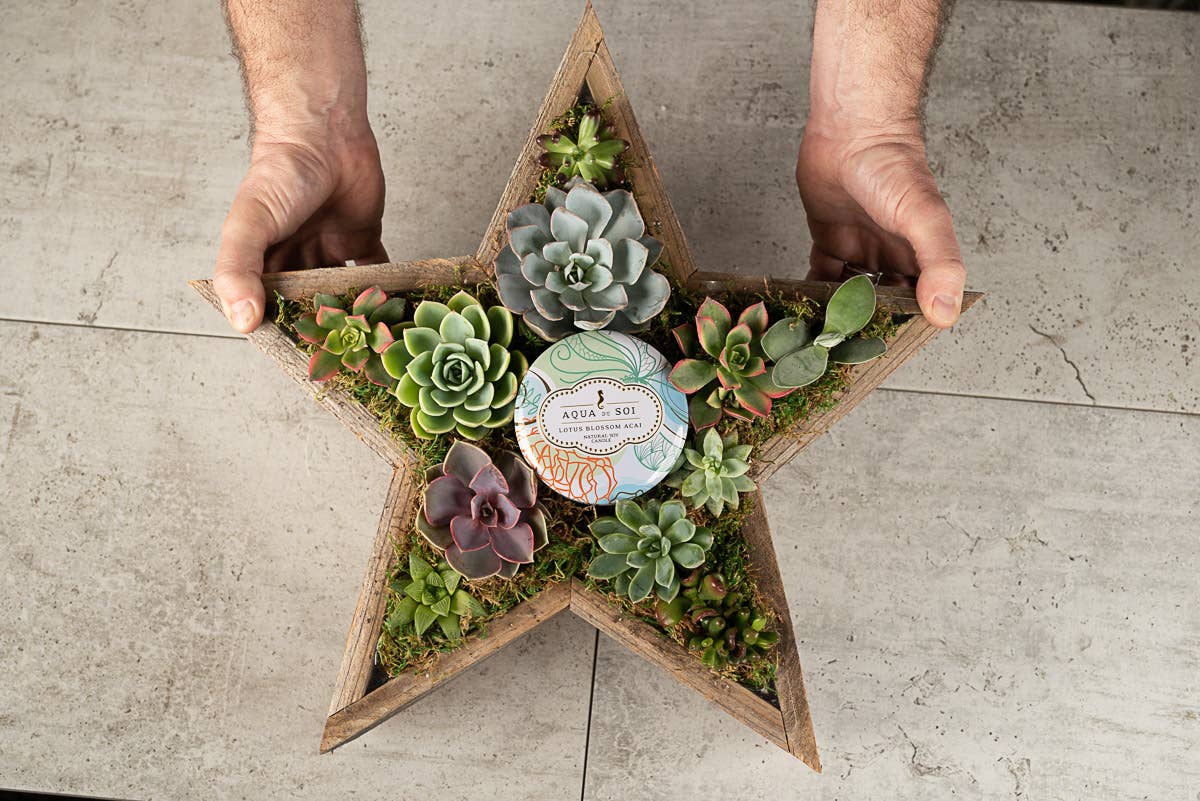 Love Reclaimed - Wholesale Planter Box - Rustic Star Reclaimed Wood Planter