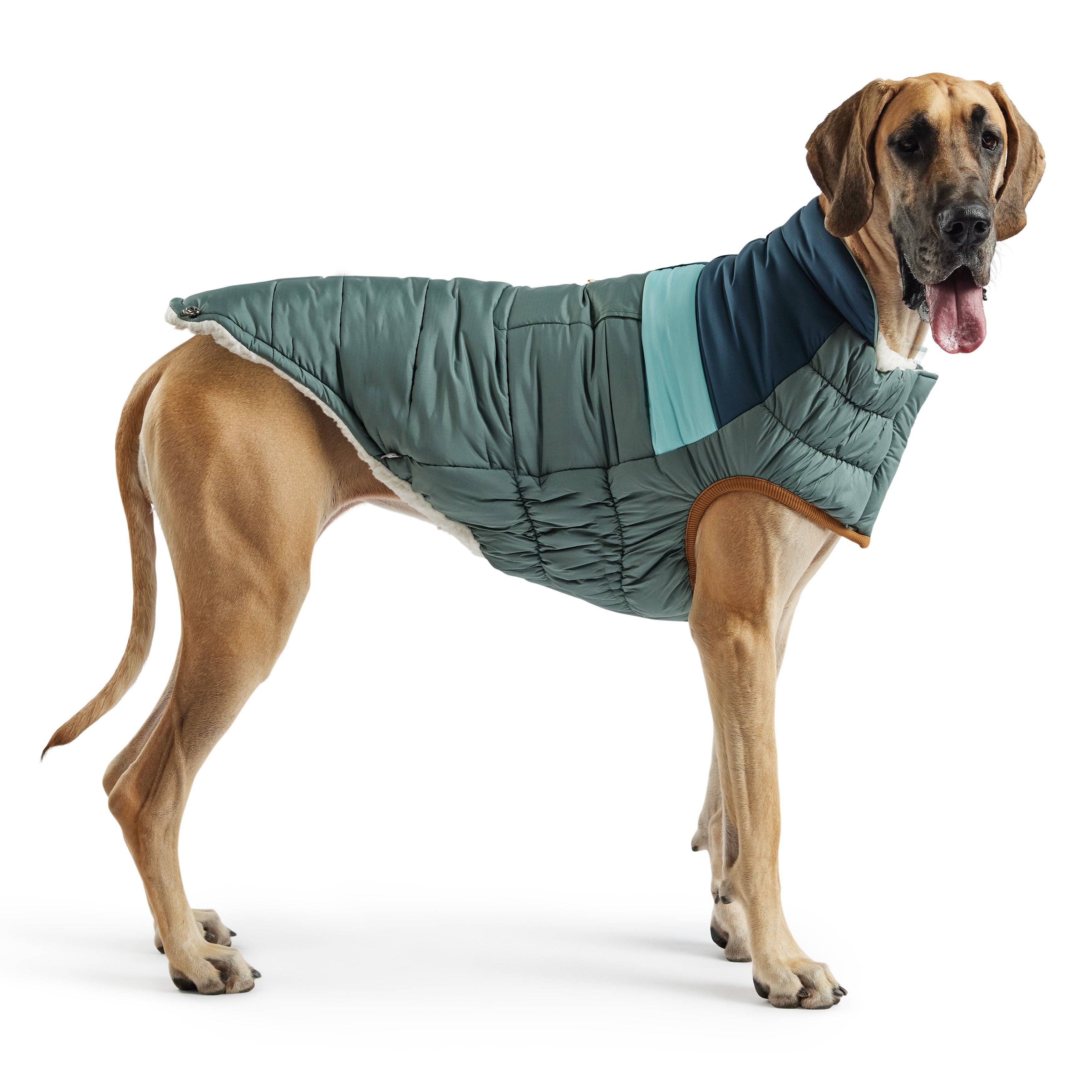 GF Pet - Venta al por mayor Abrigo - Perros - Puffer Camplife - Sage3