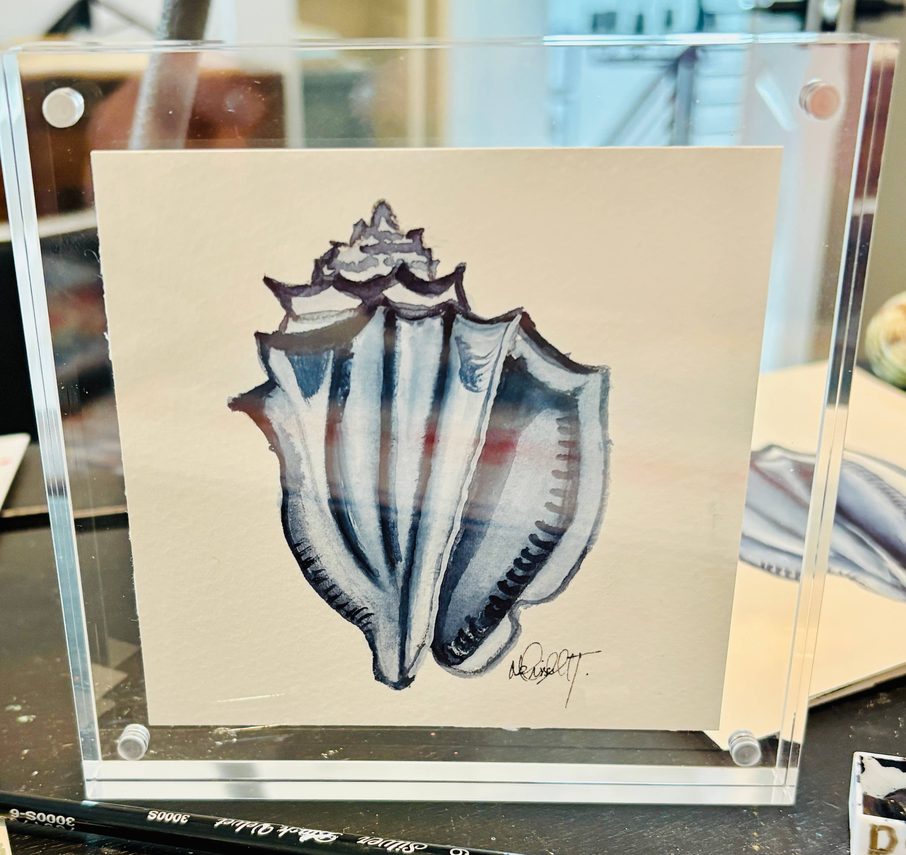 Paper Shells Studio - Venta al por mayor Ilustración - Concha marina original en acuarela en marco de bloque acrílico, 5x52