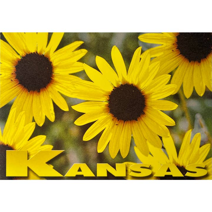 K107-Kansas Sunflower Magnet for wholesale by Avery Postcards and Gifts