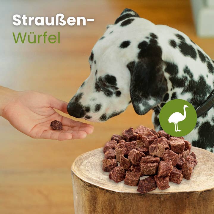Kauartikel.com GmbH - Wholesale Pet Treats - Dog - ostrich cubes2
