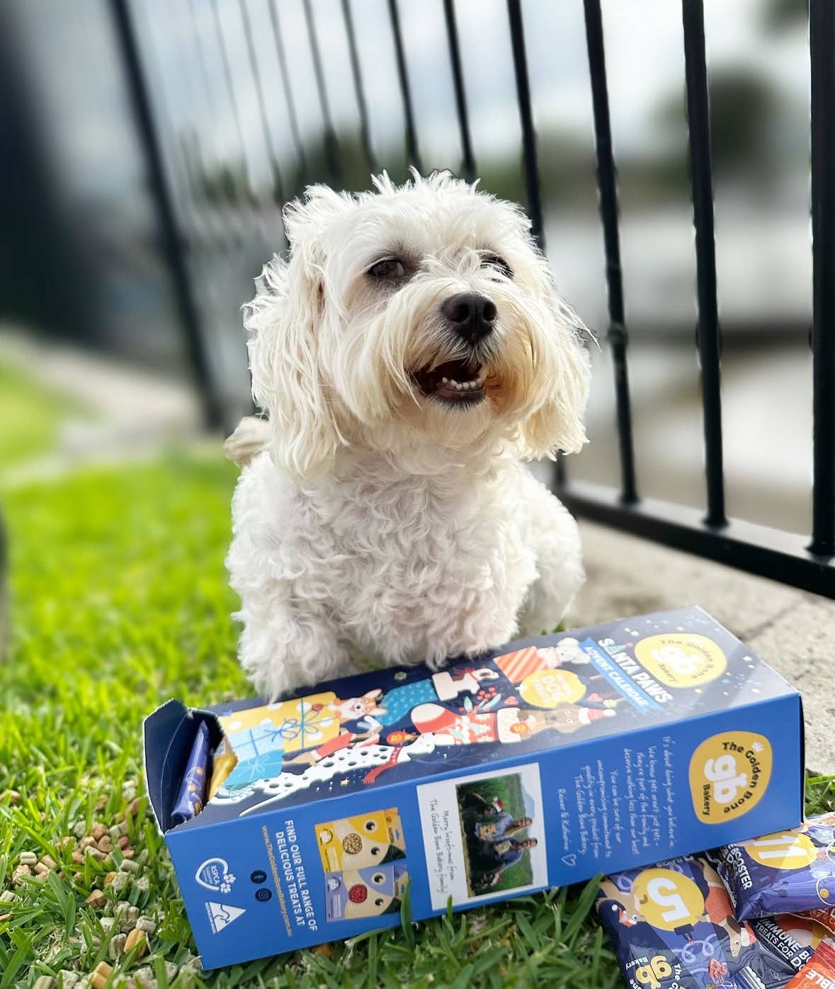 The Golden Bone Bakery - Wholesale Pet treats – Dog - Christmas Advent Calendar Tower Dog Treats3