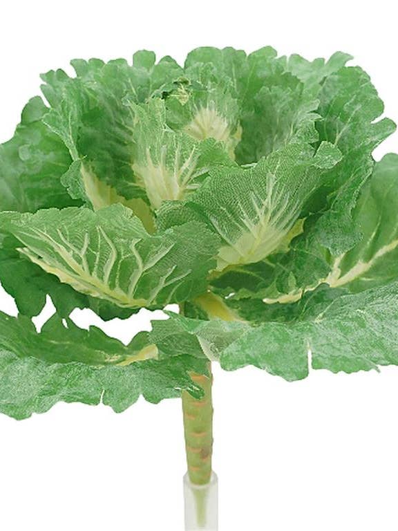 Cabbage Bush X18 LVS 10.5" Green/cream for wholesale by Select Artificials, Inc.