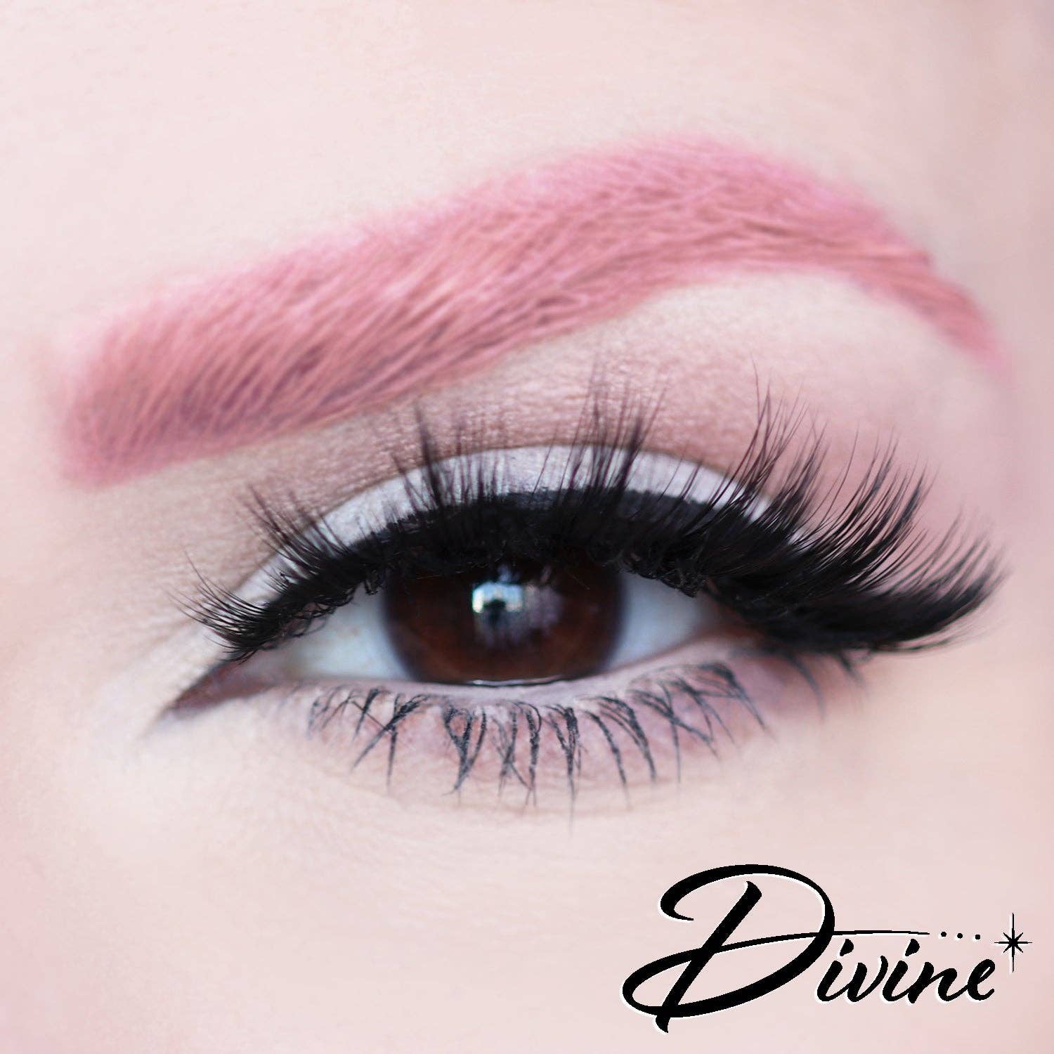 Dafna Beauty – wholesale False/fake eyelashes – D Poodle Collection- Lashes in Compact8