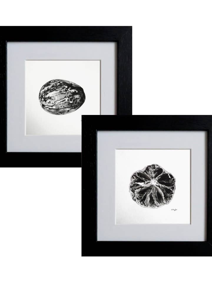 Original Art Lime and Nutmeg Charcoal Pencil Drawings for wholesale by Drawing In Dark