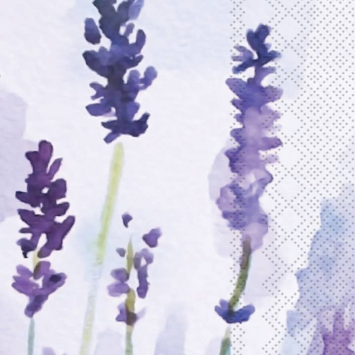 Toallas de papel para huéspedes, 16 unidades, color lavanda Mangiacotti para venta al por mayor de Boston International