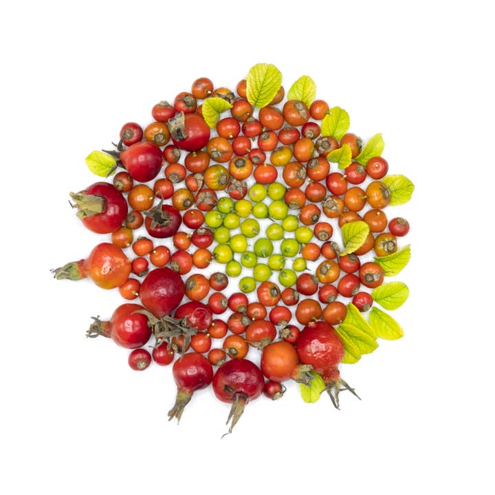 Carte postale miniature imprimable avec enveloppe OCT26-22 pour la vente par Beth Adoette