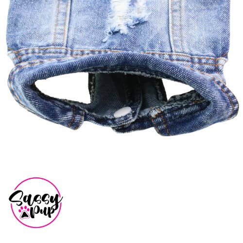 Sassy Pup LLC - Wholesale Pet Jacket - Dog - Distressed Jean Jacket for cats or dogs