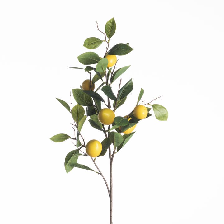 DRYdecorations - Vente Plantes artificielles - Merci avec des citrons