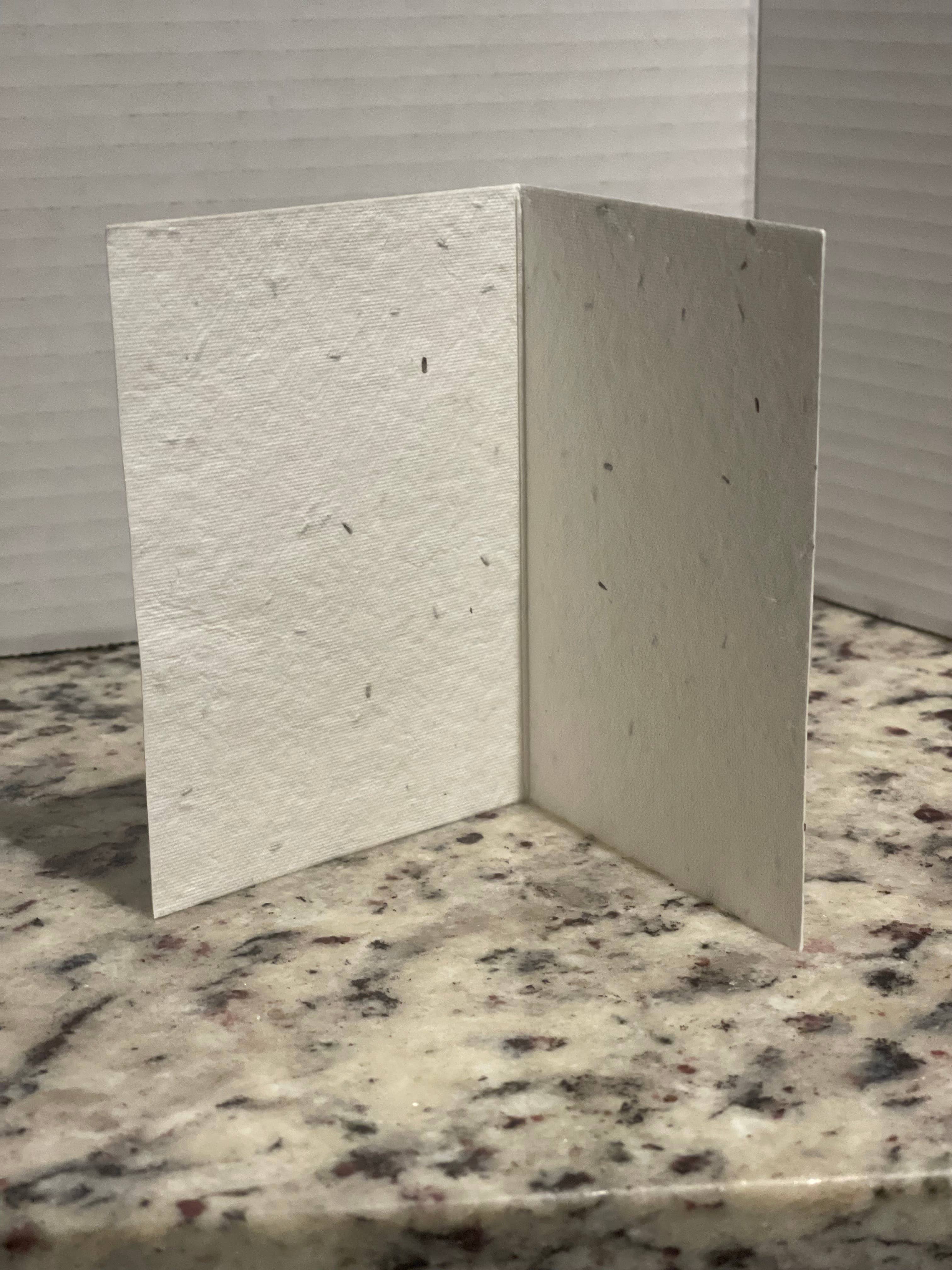 Granny B's Holiday Depot - Wholesale Christmas Card - Plantable Christmas Cards10