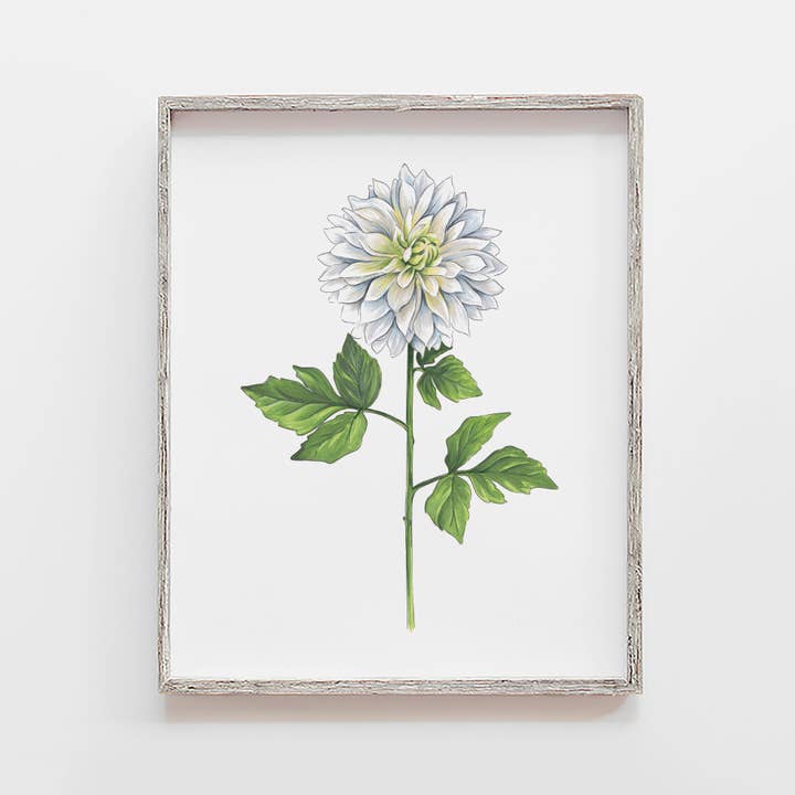 White Dahlia Flower Art Print for wholesale by JesMarried
