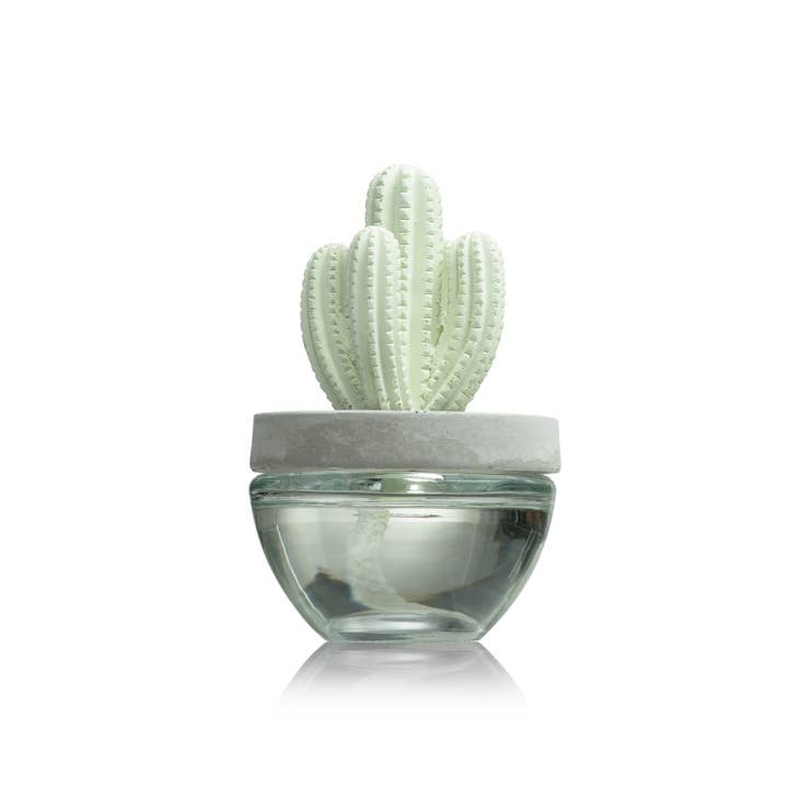 Pretty Valley Home - Wholesale Reed Diffuser - Cactus - Saguaro Cactus ceramic diffuser gift set -100ml6