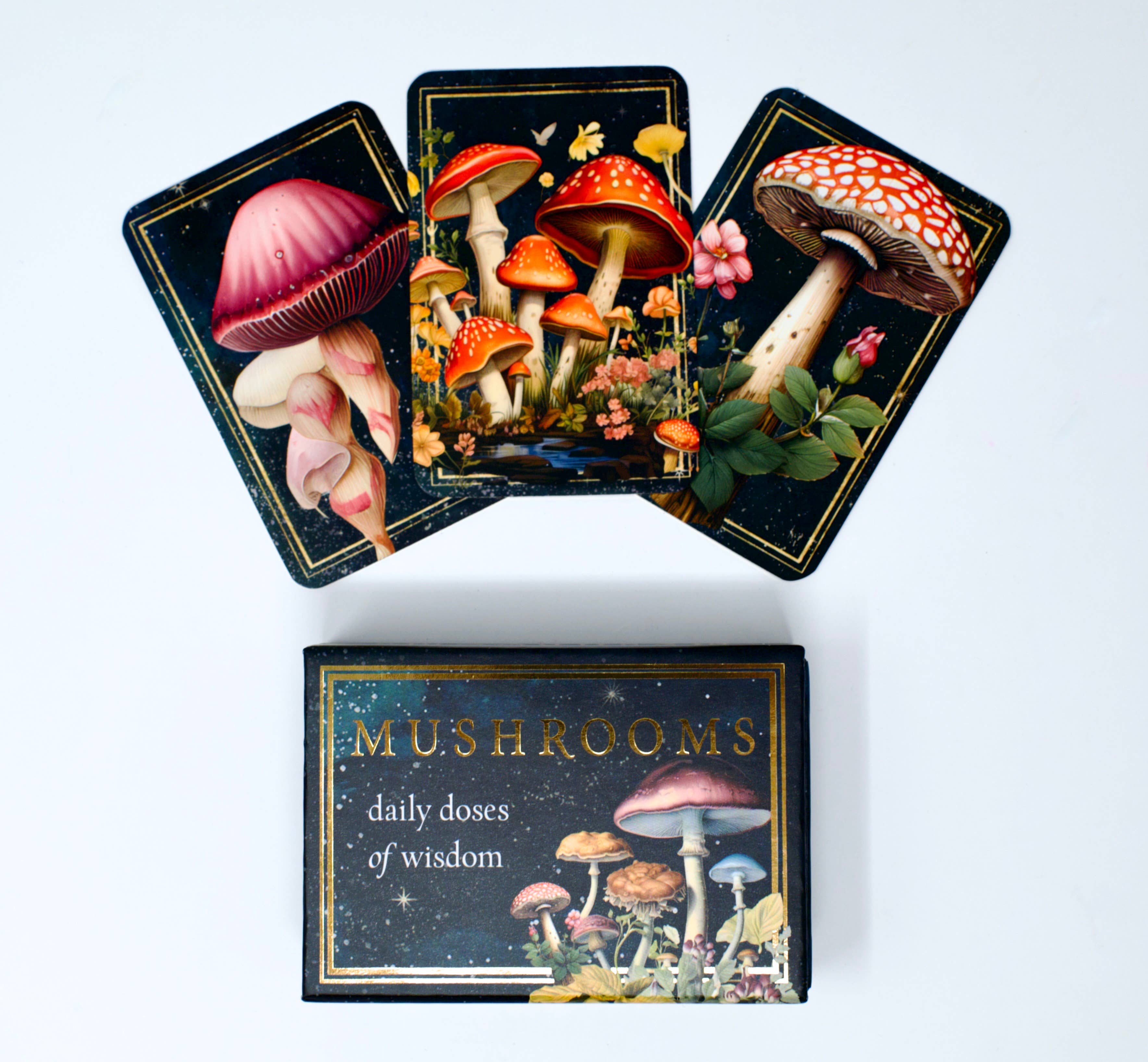 Red Wheel/Weiser LLC - Wholesale Tarot Cards - Mushrooms: Daily Doses of Wisdom (36 Gilt-Edged Mini Cards)6
