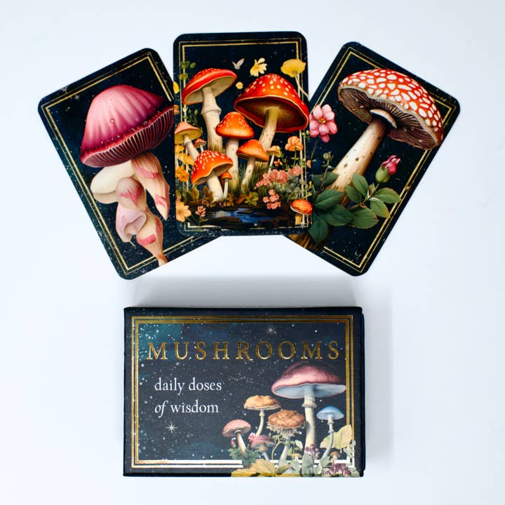 Red Wheel/Weiser LLC - Wholesale Tarot Cards - Mushrooms: Daily Doses of Wisdom (36 Gilt-Edged Mini Cards)6