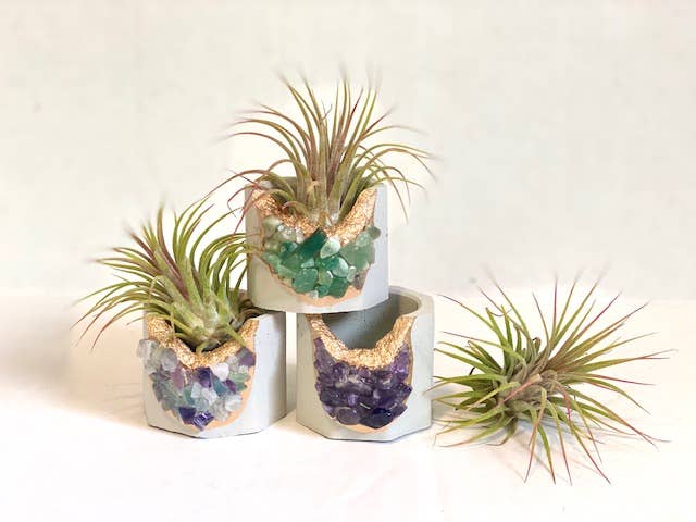 Plant One On Me Designs - Vente Pot - Jardinière en géode de cristal avec plante aérienne - Cristaux mixtes1