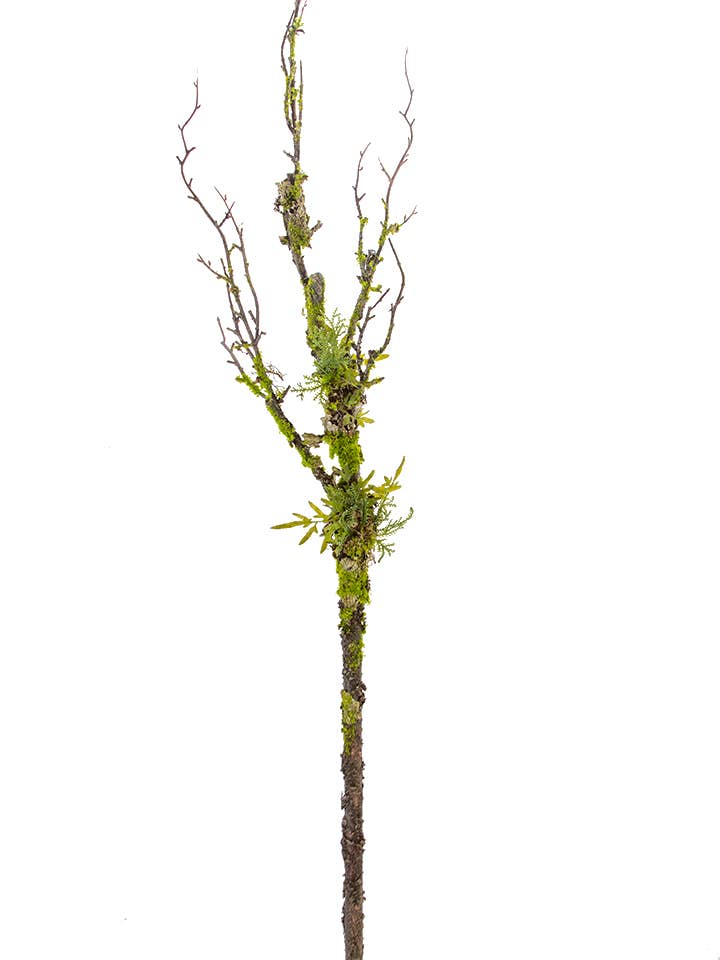 American Best - Wholesale Artificial Flowers - 54" TWIG BRANCH WITH MOSS0